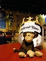 MedievalTimes (9)